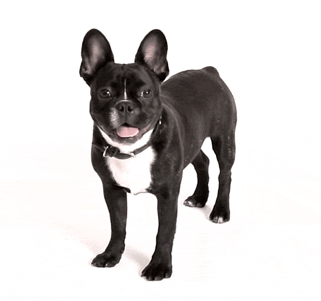 Vintage Clothing Styles For Men & Women Tailgate Clothing American